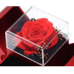 Fashion Jewelry Box Red Apple Christmas